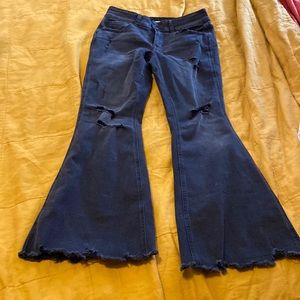 Maurice’s M jeans flare short length